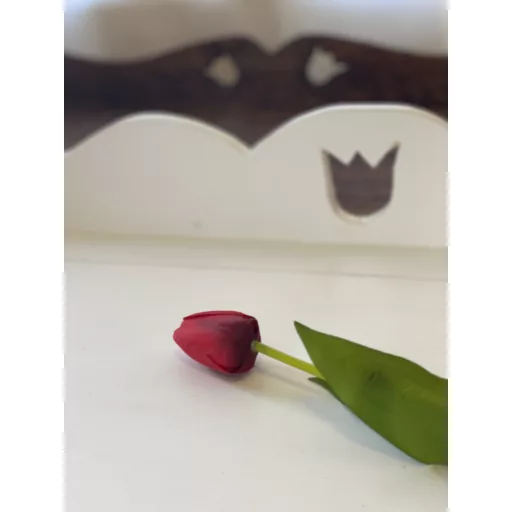 Tulipán fenyő láda ( 24 kód )