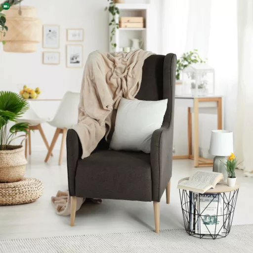 Kényelmes fotel, barna/bükk, BREDLY