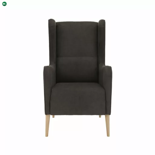 Kényelmes fotel, barna/bükk, BREDLY