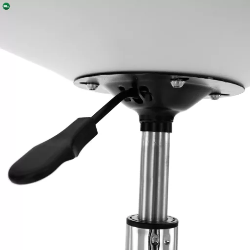 Irodai szék, fehér, DARISA 2 NEW