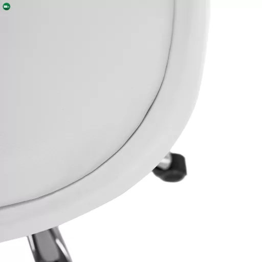 Irodai szék, fehér, DARISA 2 NEW