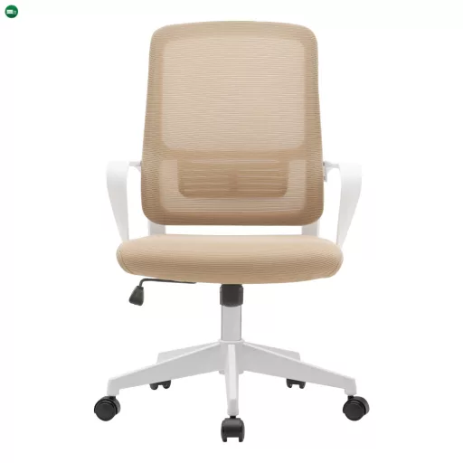 Irodai szék, bézs/fehér, SALOMO TYP 1