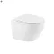 Delano fali rimless WC soft-close ülőkével