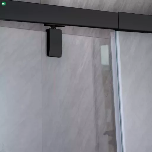 Flexi állítható zuhanyajtó 86-101x185 cm