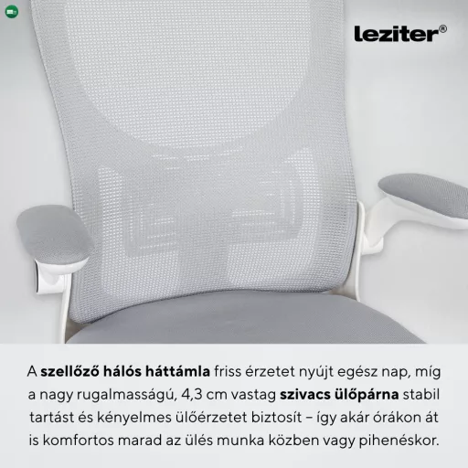 Flexo ergonomikus irodai forgószék deréktámasszal